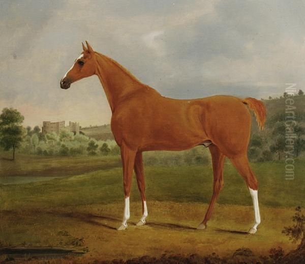 Chestnut Hunter In The Grounds Of A Castle Oil Painting by William Gwynn