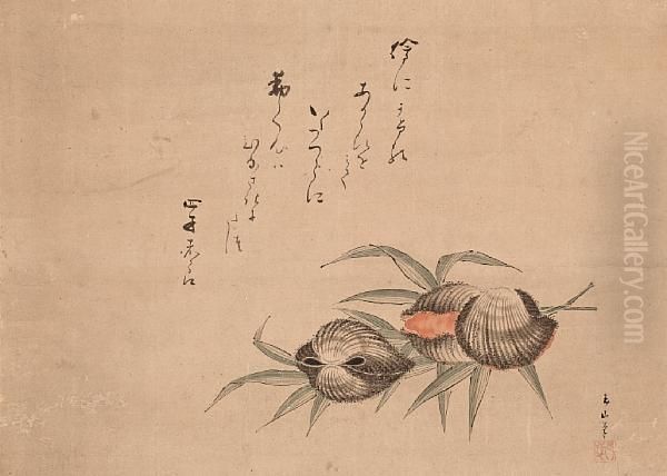 Clams And Bamboo Oil Painting by Okada Gyokuzan