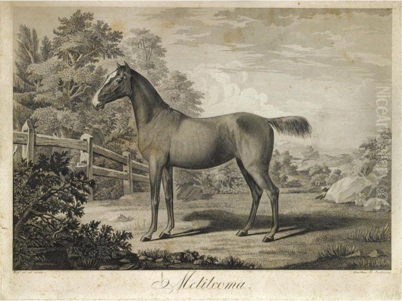 Portrait Of A Stallion, 'melilcoma' Oil Painting by Hans Johann Haag