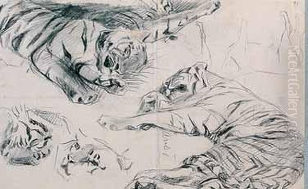 Studio Di Tigre Oil Painting by Hansi