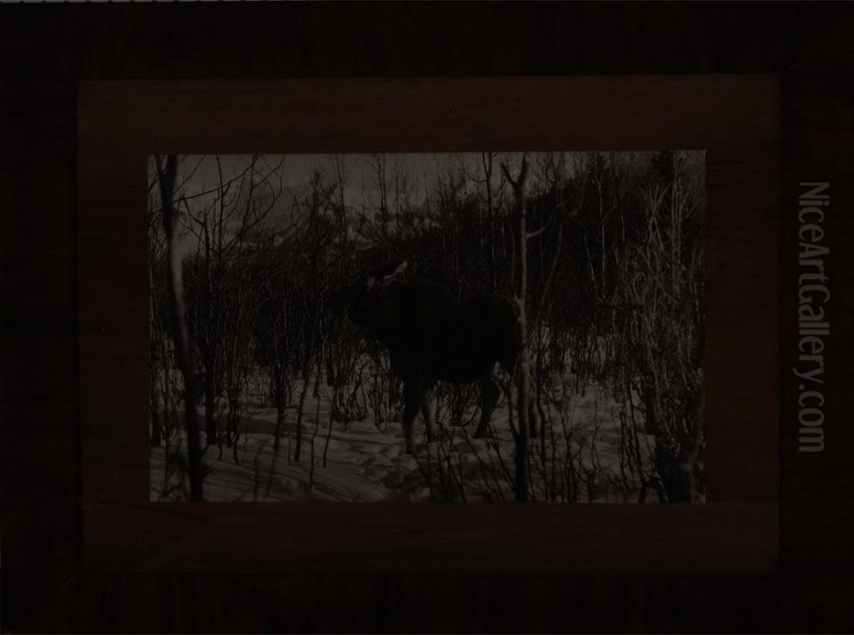 Moose In Snow Oil Painting by Byron Harmon