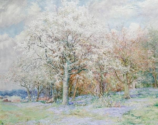 Woodland Scene With Bluebells Oil Painting by Edward Steel, Harper Jnr.