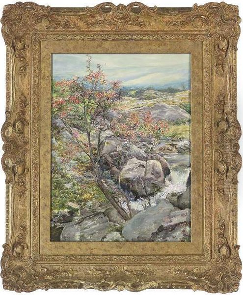 A Rowan Tree, Nantcol, Llanbedr Oil Painting by Edward Steel, Harper Jnr.