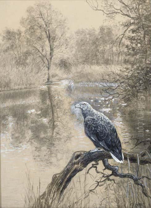 A Fishing Eagle Perched On A Branch Oil Painting by Christian Haug