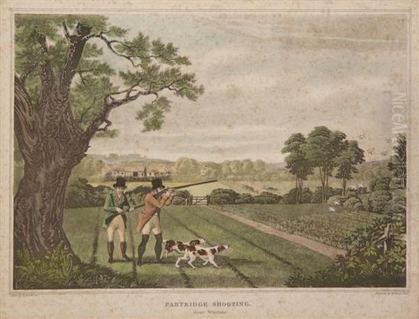 Snipe Oil Painting by Robert Havell, Jr.