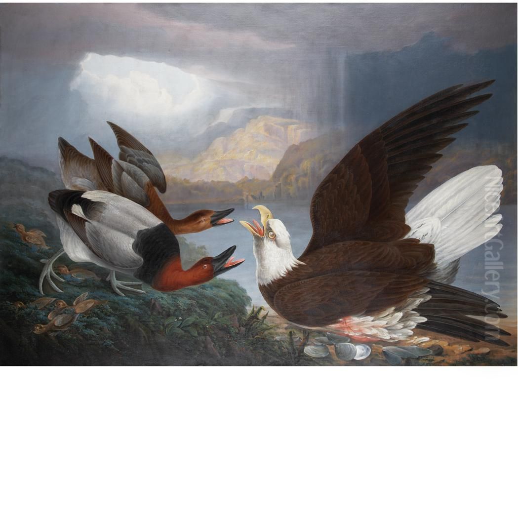 Death Of A Warrior: White Headed Eagle, Canvas Back Duck &young Oil Painting by Robert Havell, Jr.