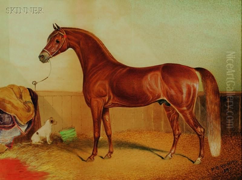 Portrait Of A Horse Oil Painting by Hyder Jung Hearsey