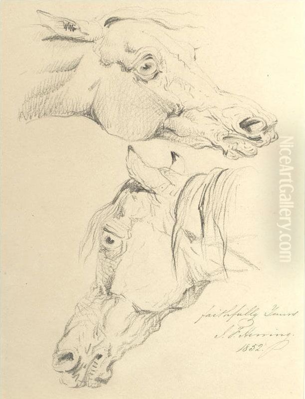 Studies Of A Horse's Head Oil Painting by Herring, James