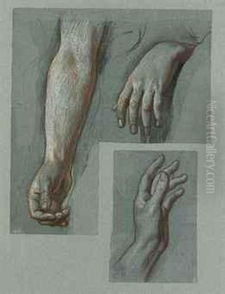 Studies Of Hands Oil Painting by Alexandre-Jean-Baptiste Hesse