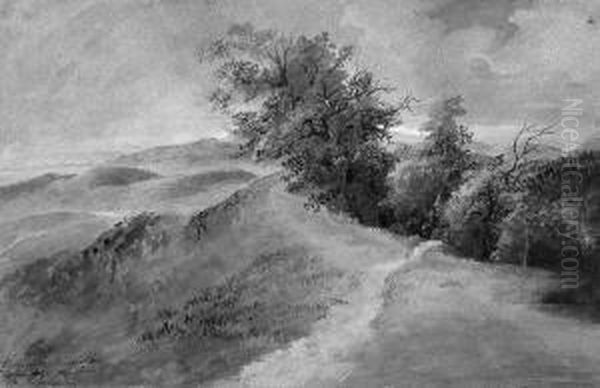 Blick Vom Hermannskogel Auf Den Wienerwald. Oil Painting by Therese Holbein Von Holbeinsberg