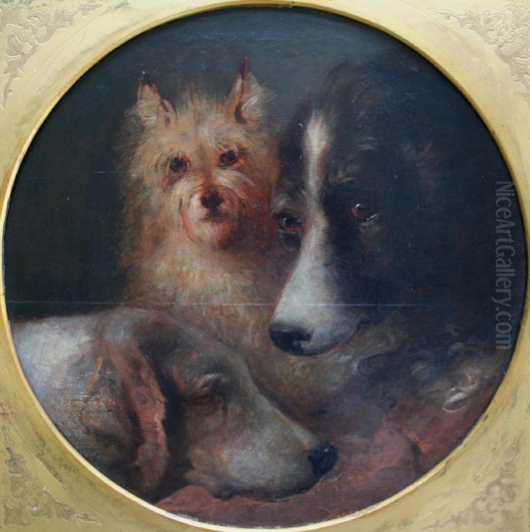 Study Of Three Dogs' Heads Oil Painting by Edwin Frederick Holt