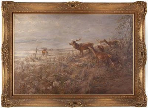 Rotwild Am Waldesrand Mit Hirschen Zur Zeit Der Brunft Oil Painting by Albert Holz