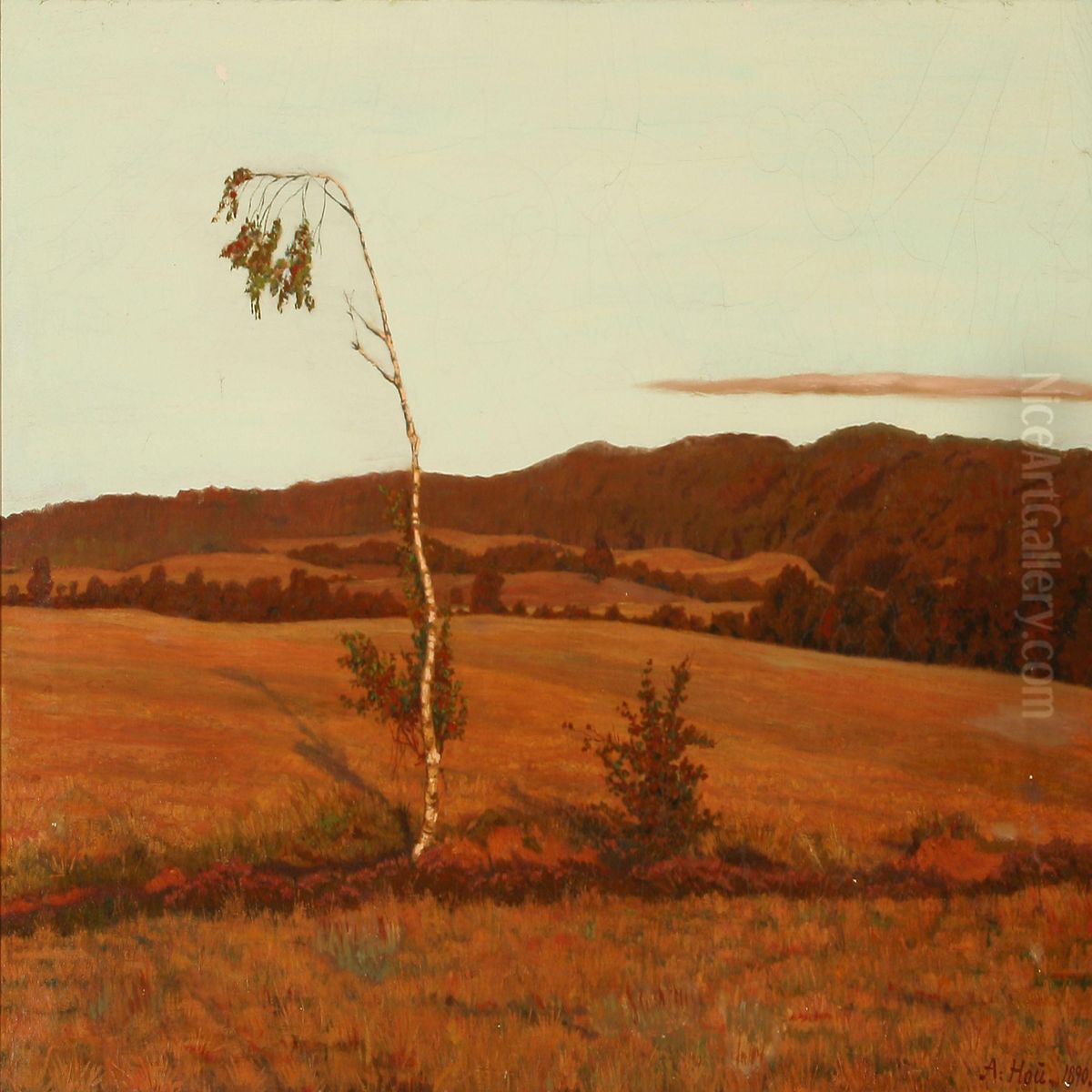 Moor Landscape Oil Painting by Axel Hou