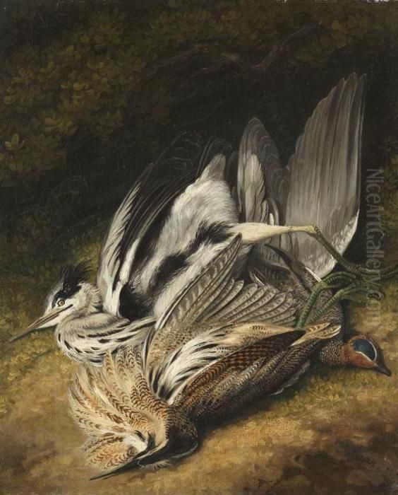 Stillleben Mit Rebhuhn, Schnepfe Und Kranich Oil Painting by Samuel Howitt