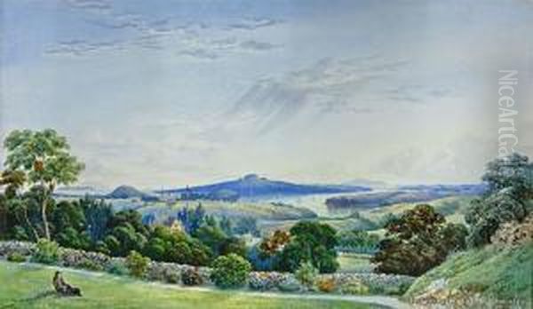 Panorama Of Auckland From Mt Hobson Oil Painting by John Barr Clarke Hoyte