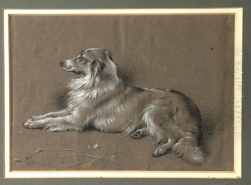 Portrait Of A Collie Dog Oil Painting by W.H. Hunt
