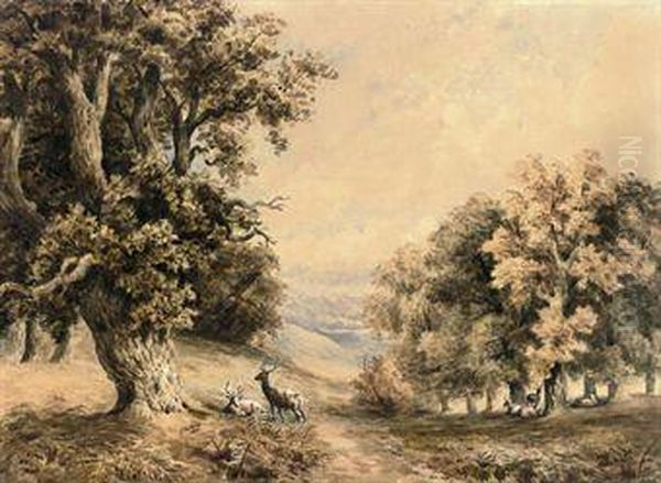 Deer Resting By A Woodland Path Oil Painting by Joseph Murray Ince