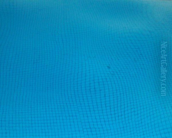 Sans Titre [piscine] Oil Painting by V. Janssens