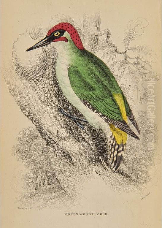 The Naturalist's Library Oil Painting by William, Sir Jardine