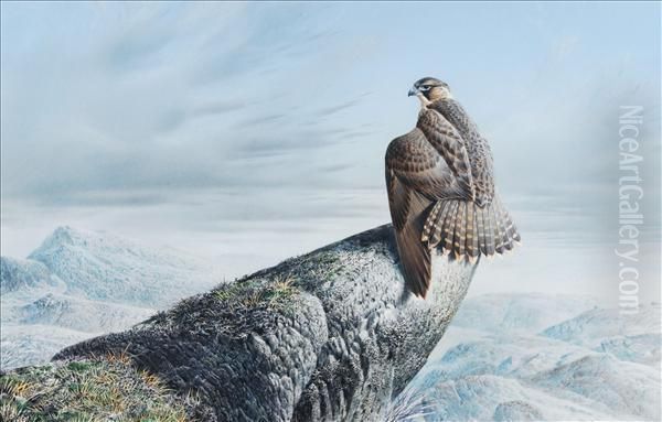 Tundrafalcon, Lake Harbour, Baffin Island Oil Painting by David Claypool Johnston