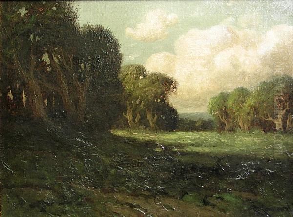 Sunlit Meadow With Oaks Oil Painting by Carl Henrik Jonnevold