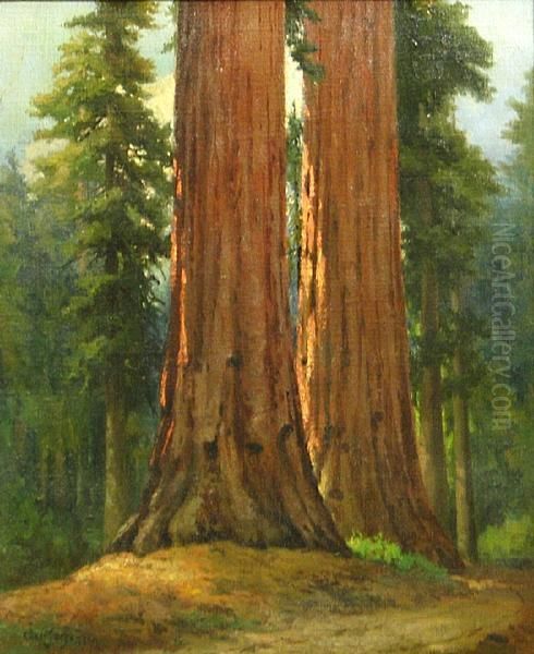 Giant Redwoods Oil Painting by Christian A. Jorgensen