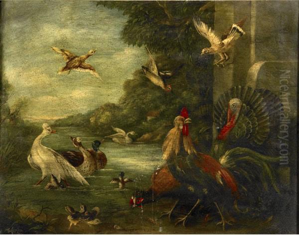 Untitled (exotic Fowl In Landscape) Oil Painting by John King