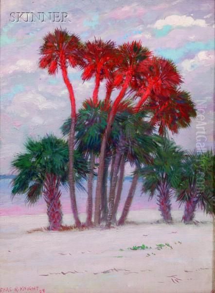 Sunset Glow - Miami Florida Oil Painting by Charles Robert Knight