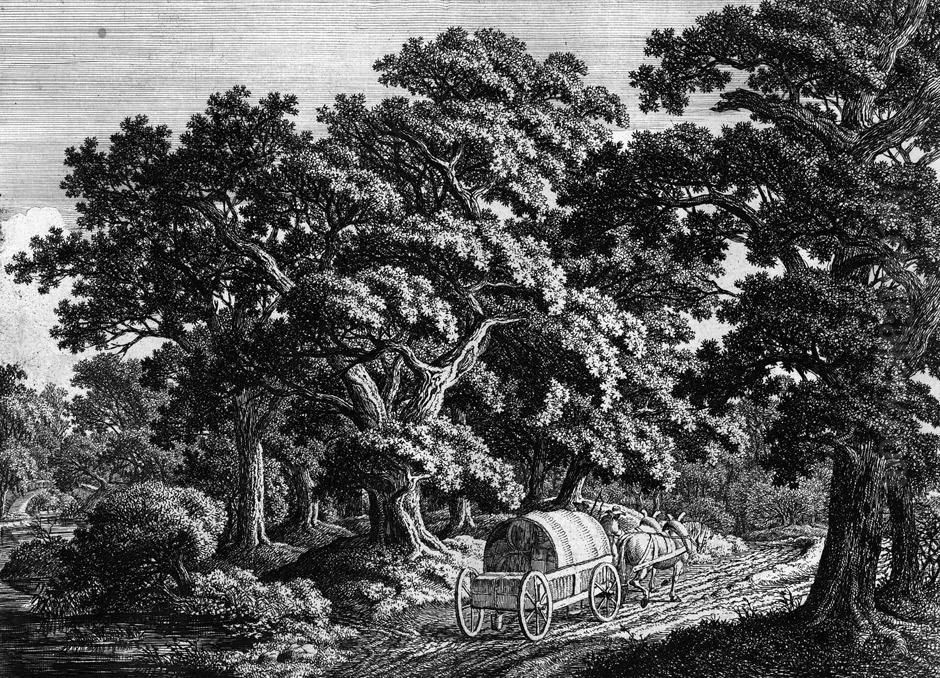 Waldlandschaft Mit Abgestorbenem Baumstumpf Oil Painting by Carl Wilhelm Kolbe