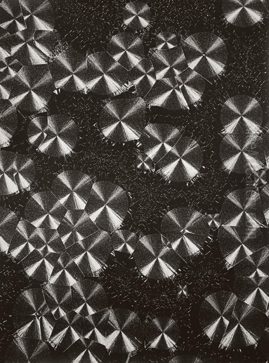 Ohne Titel (mikrophotographie) Oil Painting by August Kreyenkamp