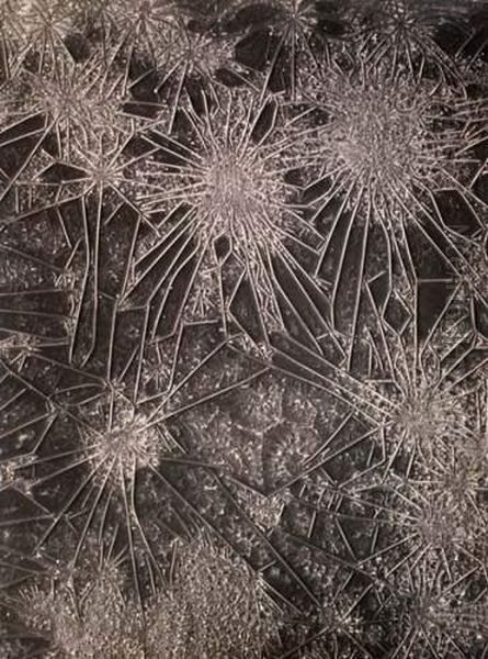 Microphotographie Oil Painting by August Kreyenkamp