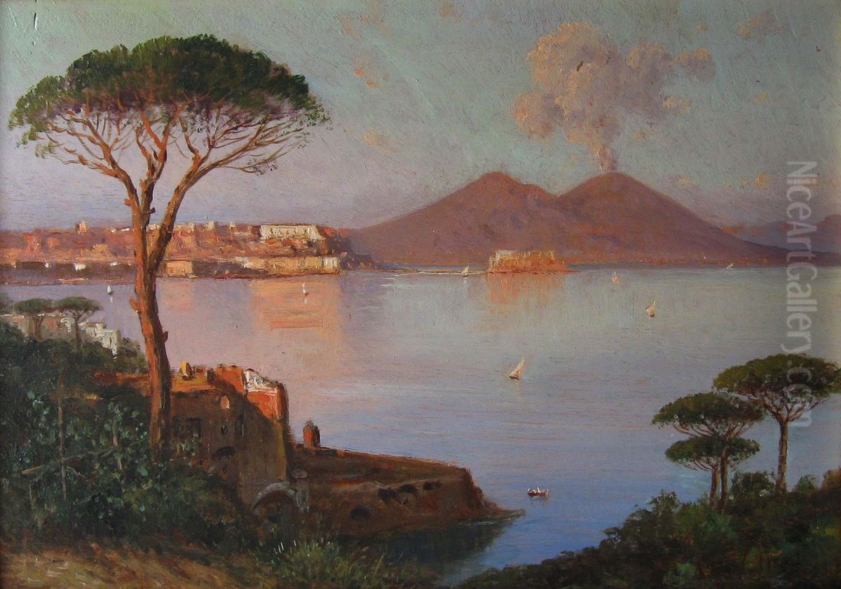 Golfo Di Napoli Con Il Vesuvio Oil Painting by Alessandro la Volpe