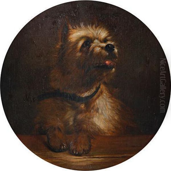 Study Of A Terrier Oil Painting by Sir Edwin Henry Landseer
