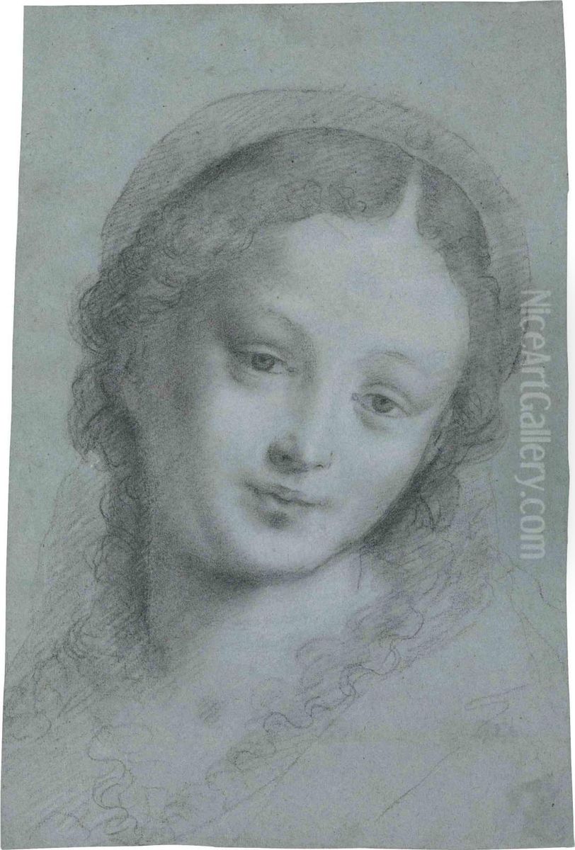 The Head Of The Virgin Oil Painting by Bernardino Lanino