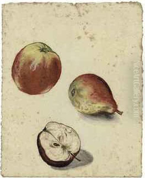 Still Life With A Pear And Two Apples, One Halved Oil Painting by Jacques le Moyne de Morgues