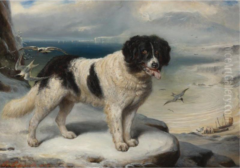 Rome- Chien De Terre-neuve: A Newfoundland Oil Painting by Francois Gabriel G. Lepaulle
