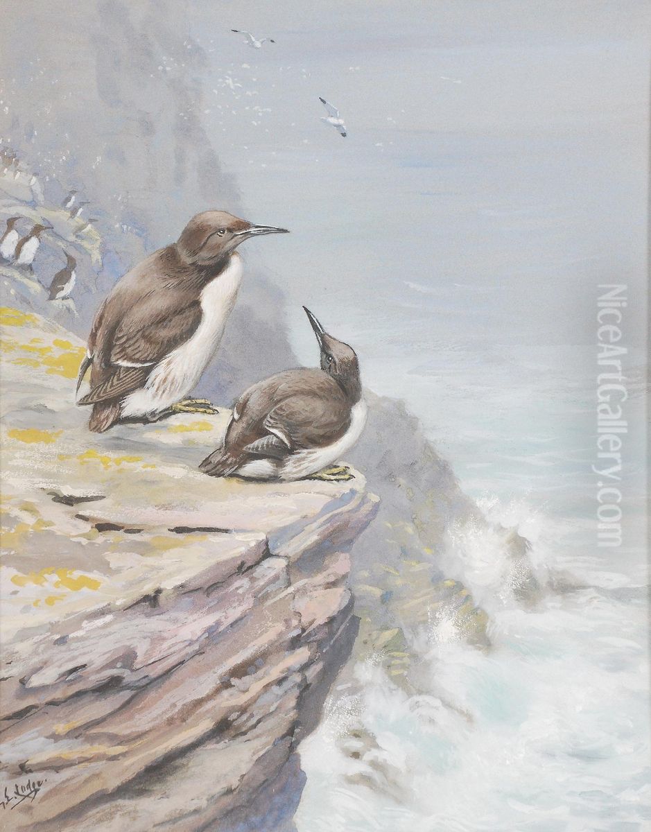 Guillemots Oil Painting by George Edward Lodge