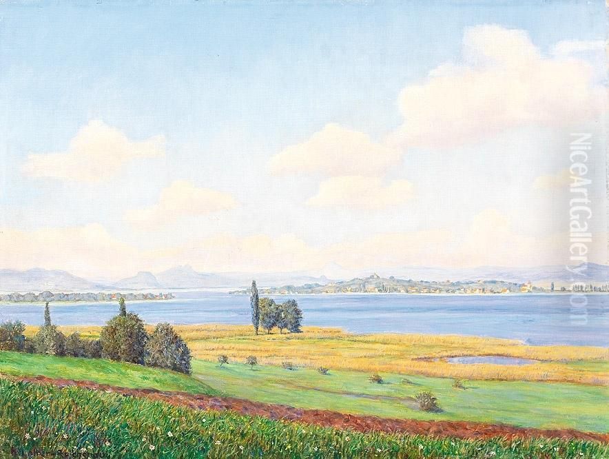 Bodenseelandschaft Mit Blick Auf Die Insel Reichenau An Einem Sonnigen Sommertag Oil Painting by Heinrich Lotter