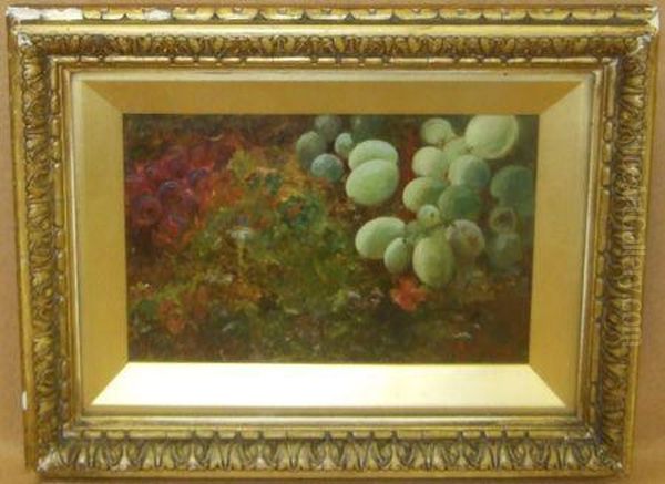 A Still Life Study Of Fruit On A Mossy Bank Oil Painting by George Friedrich August Lucas