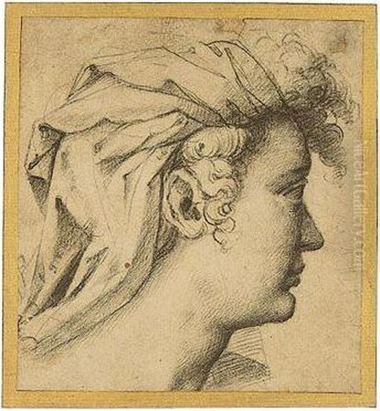 Study Of The Head Of A Turbaned Woman Oil Painting by Girolamo Del Crocifissaio (see Macchietti)