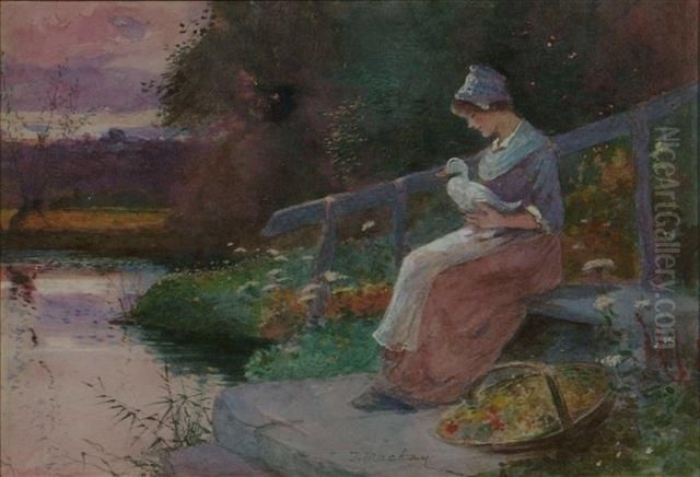 A Young Lady Seated Holding A Duck Beside A Riverbank Oil Painting by James Mackay