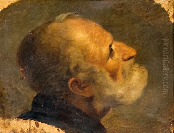 Studio Di Testa Di Vecchio Oil Painting by Adeodato Malatesta or Malatesti