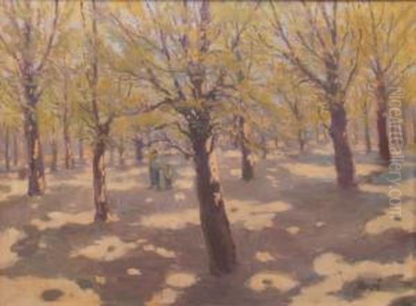 Prochazka V Prosvicenem Parku Oil Painting by Manes, Josef