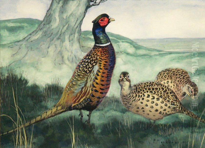 Faisan Et Poules Faisanes Oil Painting by Paul Marcueyz