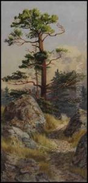 Rocks And Pine At Evening, Victoria, Bc Oil Painting by Thomas Mower Martin
