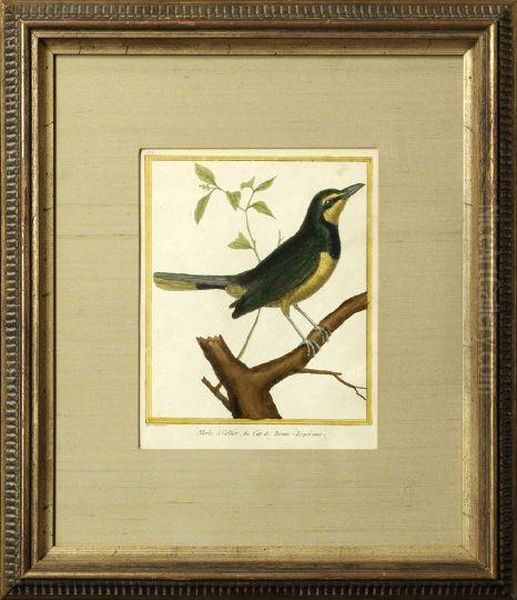 Merle A Collier Oil Painting by Francois Nicolas Martinet