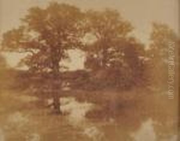 Mare Et Arbres En Foret De Fontainebleau Oil Painting by Charles Marville