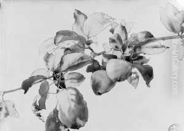 Birnenzweig Mit Fruchten Oil Painting by Vitezlav Karel Masek