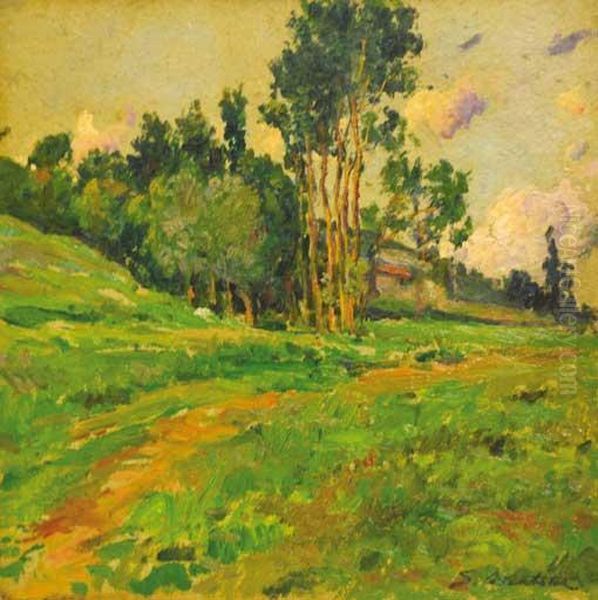 Paisaje Oil Painting by Segundo Matilla