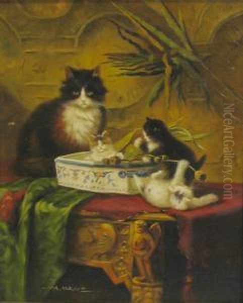 Cat Play Oil Painting by Albert Maurer